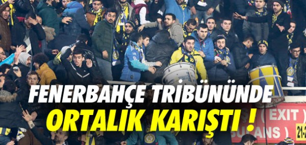 Fenerbahe tribn kart