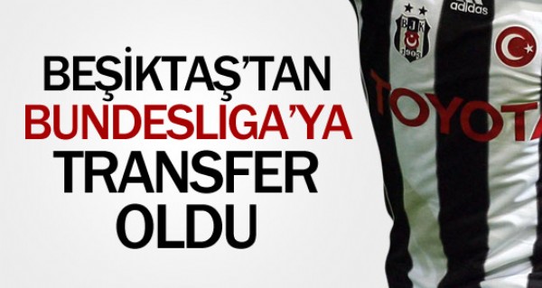 Hilbet'in yeni takımı belli oldu Hilbet'in yeni takımı belli oldu