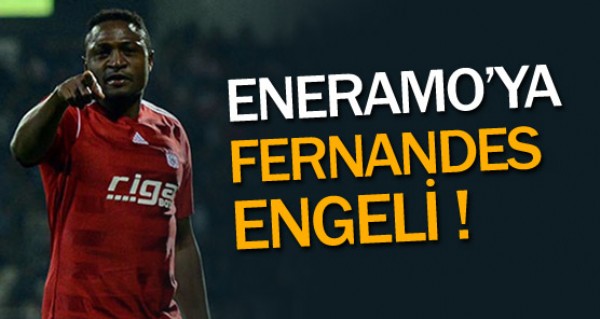 Eneramoya Fernandes engeli