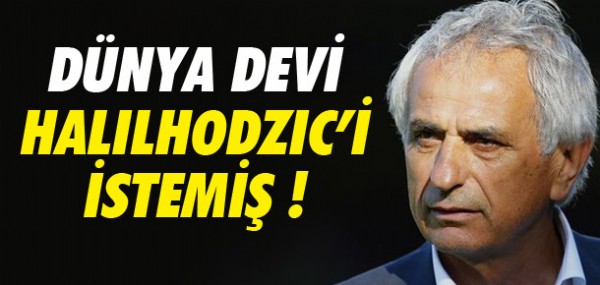 Dev kulp Halilhodzic'i istiyor