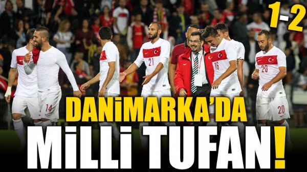 Danimarka'da Milli Tufan: 1-2