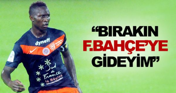 Fenerbahe'de stoper krizi!