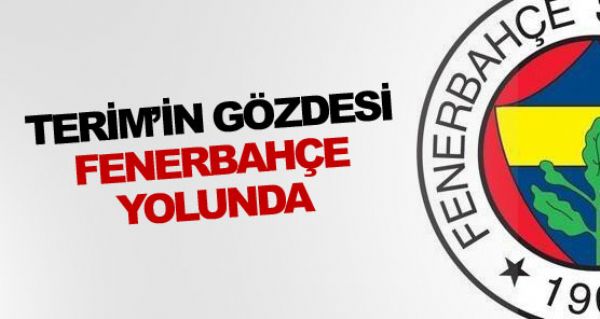 Fatih Terim'in gzdesi F.Bahe yolunda