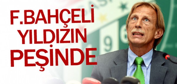 Daum Fenerbahçeli ismin peşide Daum Fenerbahçeli ismin peşide