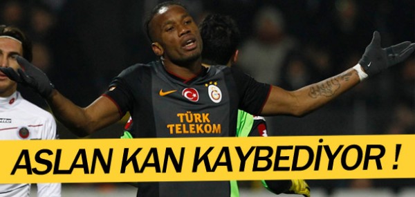 Aslan kan kaybediyor Aslan kan kaybediyor