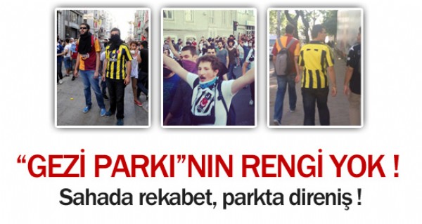 Gezi Park iin biraradalar